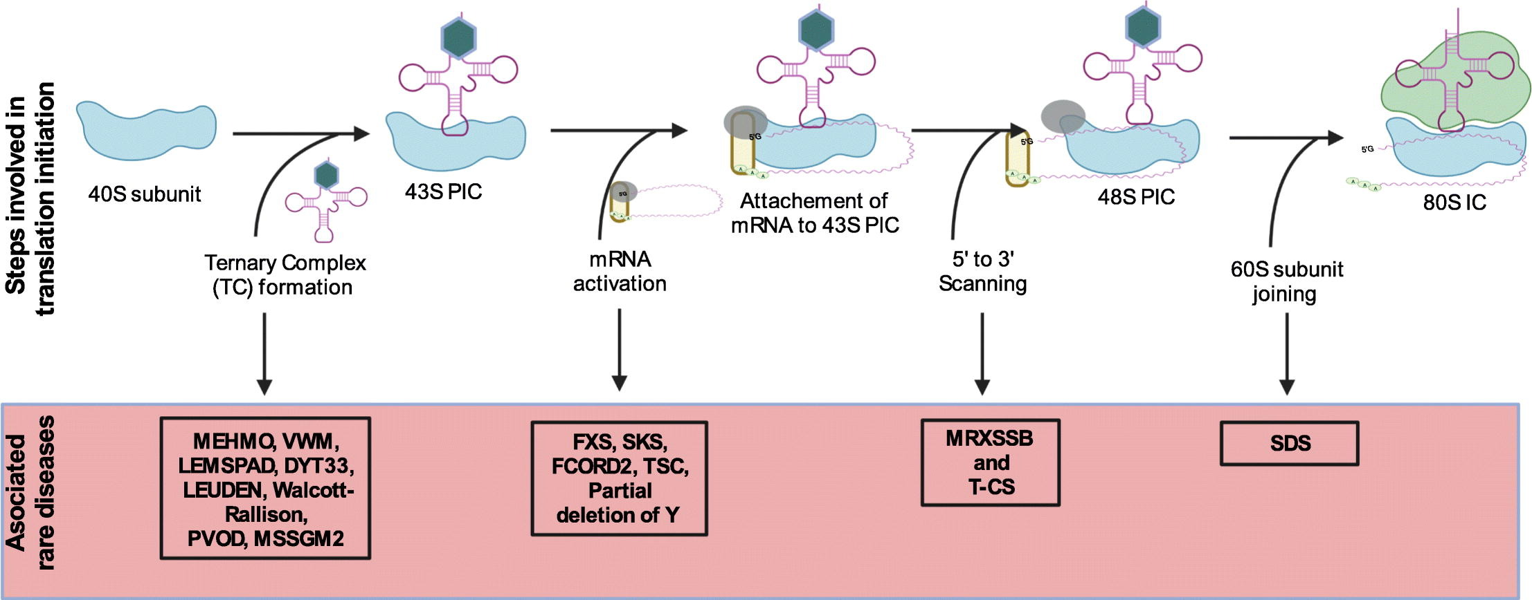 Kamble et al, Gene Reports (2023)